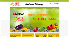 Desktop Screenshot of goodwavetechnology.com